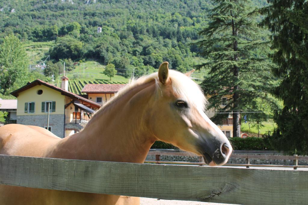 Country House Ramandolo Club Nimis Dış mekan fotoğraf